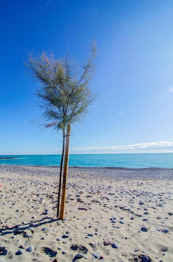 Chill'N Holidays Moncófar Dış mekan fotoğraf